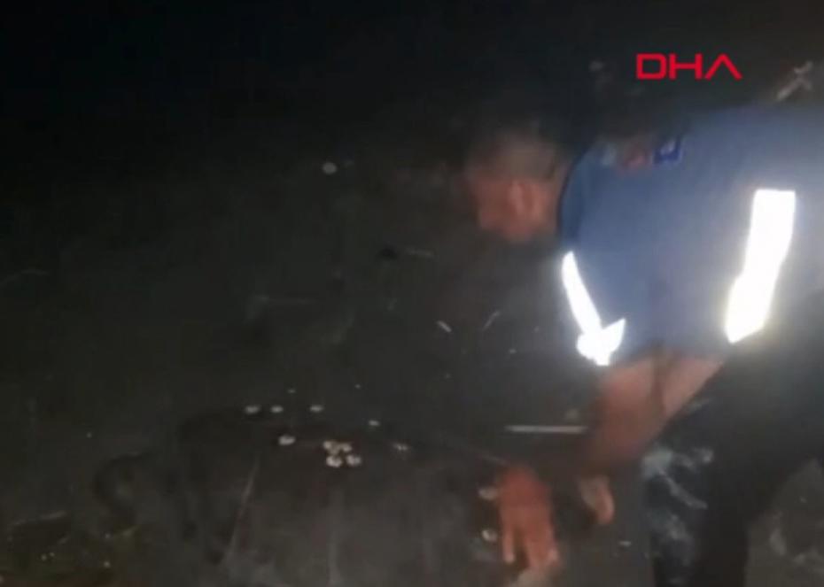 Sahilde yönünü şaşıran caretta carettayı vatandaşlar denize ulaştırdı