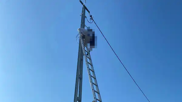 Sakarya'da Tragedi: Elektrik Direğinde Tamir Çalışması Sırasında Feci Olay