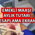 YENİ YIL 4A, 4B BAĞKUR – SSK EMEKLİ MAAŞI 2025 TALEP TUTARI E-DEVLET (SGK AYLIK HESAPLAMA ROBOTU) || Emekli maaşı artışı ne kadar olacak? SSK ve BAĞKUR emekli maaşları yılbaşından sonra düşecek, 2024-2025 maaş farkı ne kadar olacak?