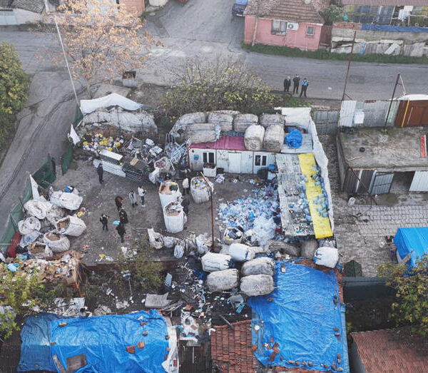 Ataşehir’de Kaçak At Kesimi Operasyonu: İki Şüpheli Gözaltında